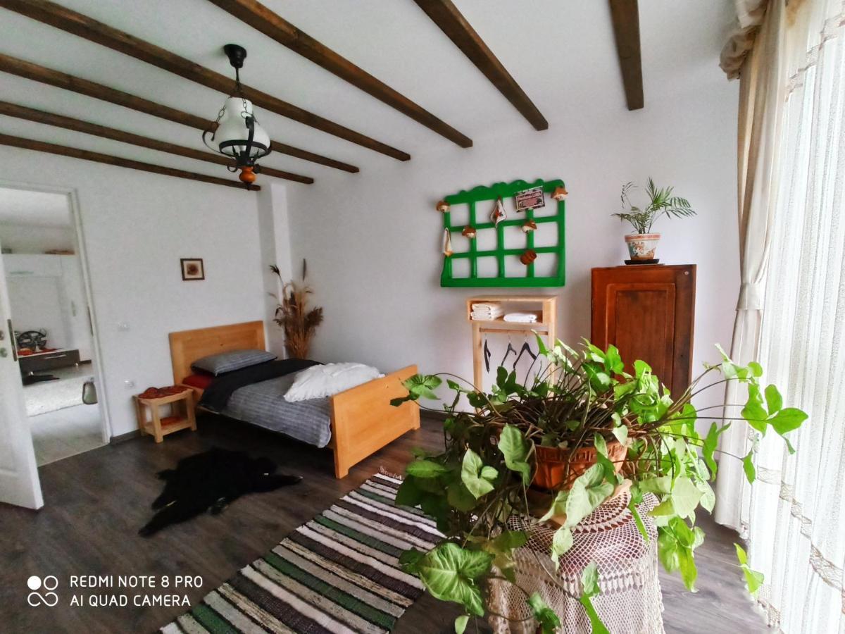 ホテル Casa Lucia Damuc エクステリア 写真