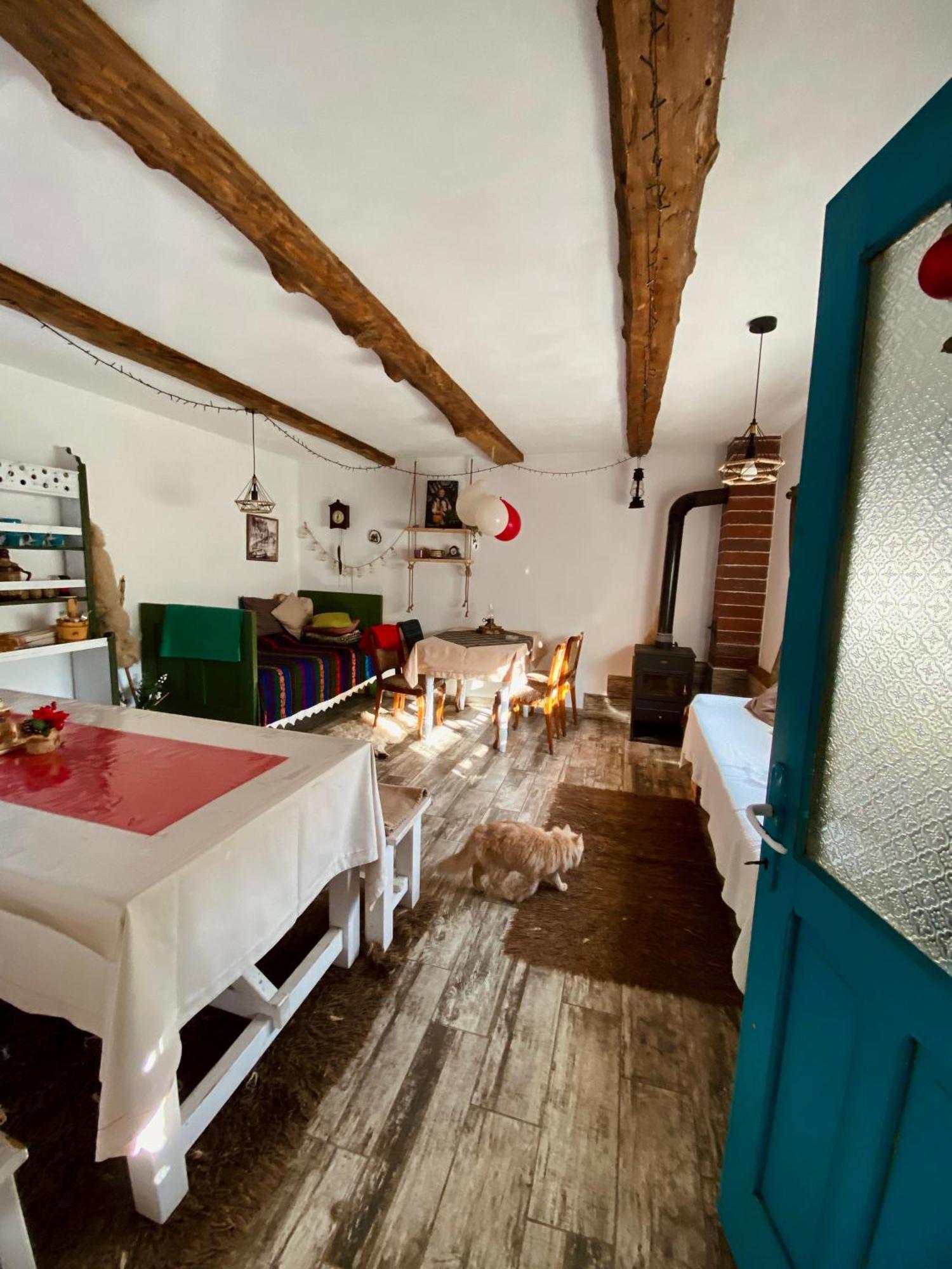 ホテル Casa Lucia Damuc エクステリア 写真